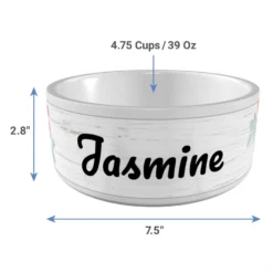 Frisco Personalized Rustic Ceramic Dog Bowl, 4.75-cup, 38oz 6 Frisco Personalized Rustic Ceramic Dog Bowl, 4.75-cup, 38oz -PetPalace Picks 306764 PT3. AC SS1800 V1636036401