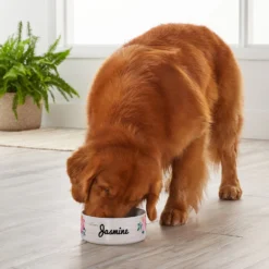 Frisco Personalized Rustic Ceramic Dog Bowl, 4.75-cup, 38oz 7 Frisco Personalized Rustic Ceramic Dog Bowl, 4.75-cup, 38oz -PetPalace Picks 306764 PT4. AC SS1800 V1639518092