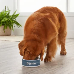 Frisco Personalized Heathered Ceramic Dog Bowl, 4.75-cup, 38oz -PetPalace Picks 306767 PT4. AC SS1800 V1639518089