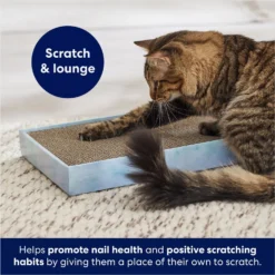 Frisco Double-Wide Cat Scratcher Toy With Catnip -PetPalace Picks 308878 PT3. AC SS1800 V1678723896