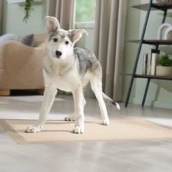 Frisco Giant Eco-Conscious Dog Training & Potty Pads 15 Frisco Giant Eco-Conscious Dog Training & Potty Pads -PetPalace Picks 309794 PT6. AC SS1800 V1674666971