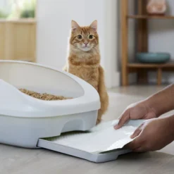 Frisco Cat Litter Pads, Scented -PetPalace Picks 309828 PT5. AC SS1800 V1675280050