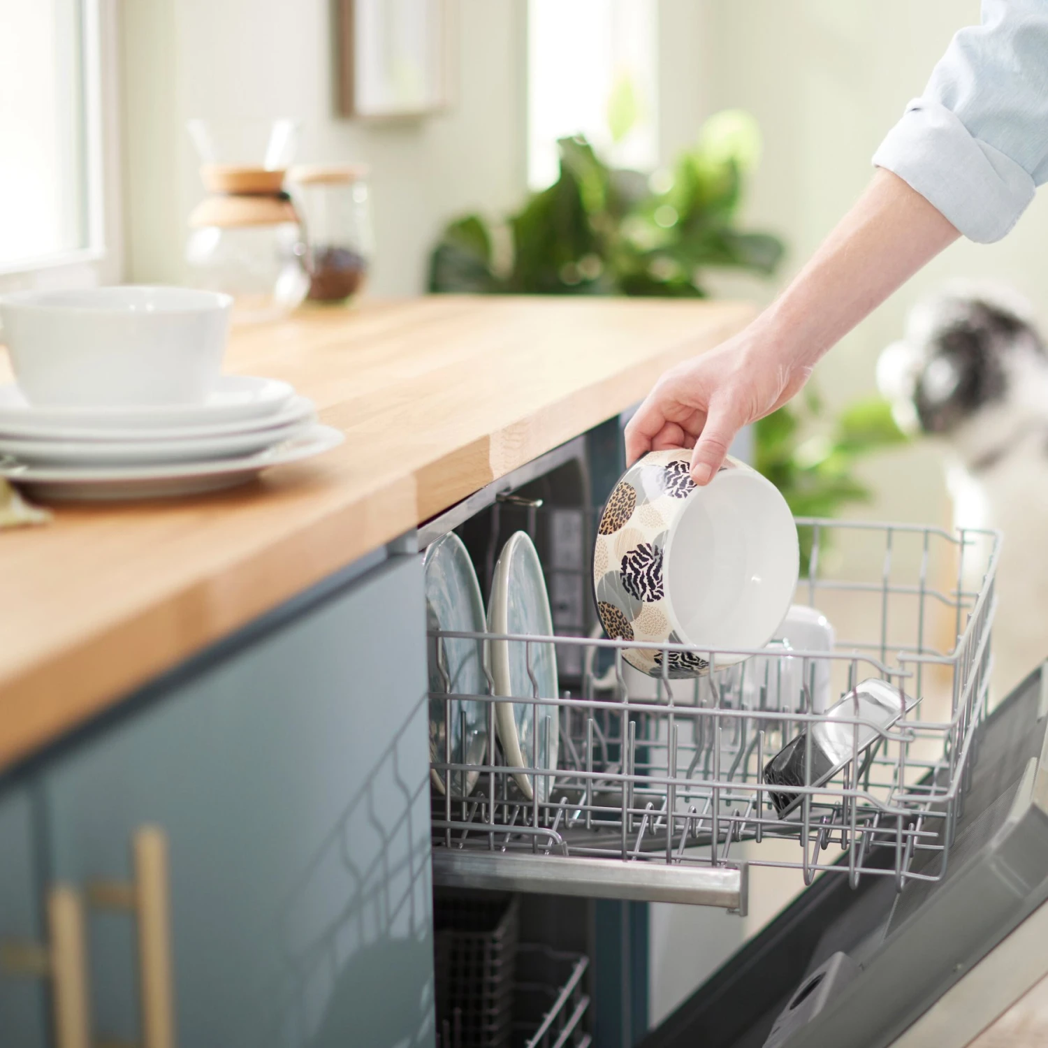 Frisco Animal Design Stainless Steel Dog & Cat Bowl 8 Frisco Animal Design Stainless Steel Dog & Cat Bowl - Image 8