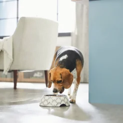 Frisco Moroccan Design Stainless Steel Dog & Cat Bowl 10 Frisco Moroccan Design Stainless Steel Dog & Cat Bowl -PetPalace Picks 311963 PT2. AC SS1800 V1642542922