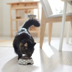 Frisco Moroccan Design Stainless Steel Dog & Cat Bowl 11 Frisco Moroccan Design Stainless Steel Dog & Cat Bowl -PetPalace Picks 311963 PT3. AC SS1800 V1642542386