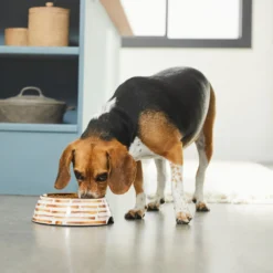 Frisco Copper Print Design Stainless Steel Dog & Cat Bowl -PetPalace Picks 311975 PT2. AC SS1800 V1642542895