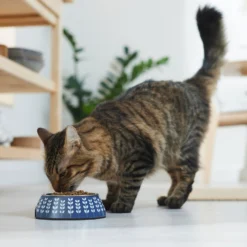 Frisco Leaf Design Stainless Steel Dog & Cat Bowl -PetPalace Picks 311980 PT3. AC SS1800 V1642542556