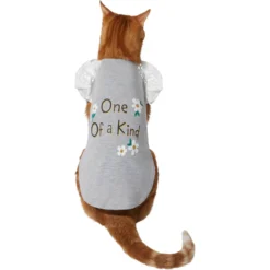 Frisco One Of A Kind Dog & Cat T-Shirt 9 Frisco One Of A Kind Dog & Cat T-Shirt -PetPalace Picks 312080 PT2. AC SS1800 V1644424427