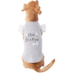 Frisco One Of A Kind Dog & Cat T-Shirt 10 Frisco One Of A Kind Dog & Cat T-Shirt -PetPalace Picks 312080 PT3. AC SS1800 V1673303002