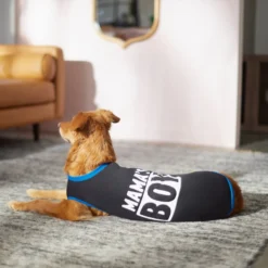 Frisco Mama's Boy Dog & Cat T-Shirt -PetPalace Picks 312088 PT5. AC SS1800 V1673361675