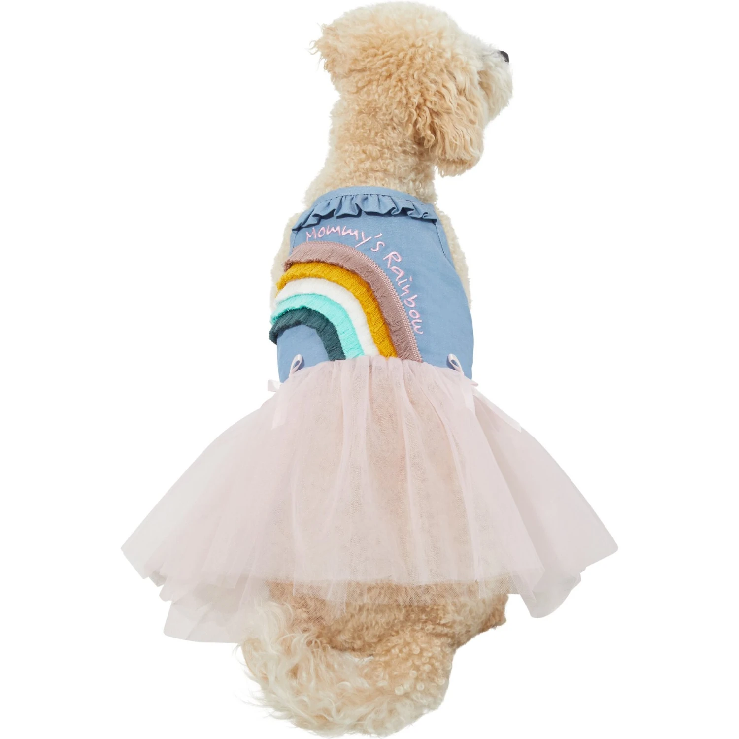 Frisco Rainbow Denim Dog & Cat Dress 1 Frisco Rainbow Denim Dog & Cat Dress