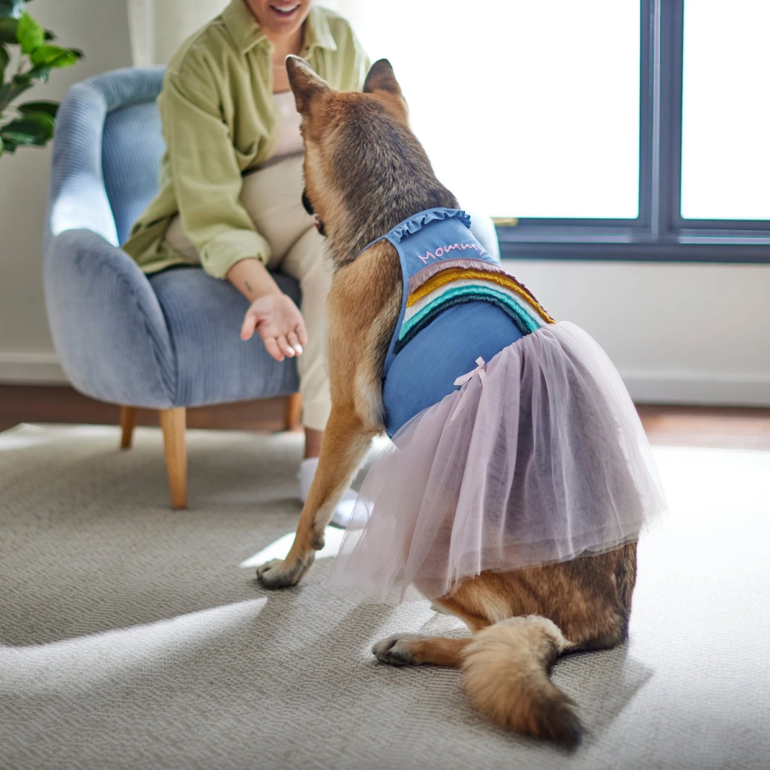 Frisco Rainbow Denim Dog & Cat Dress 6 Frisco Rainbow Denim Dog & Cat Dress - Image 6