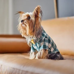 Frisco Boho Plaid Dog & Cat Shirt 15 Frisco Boho Plaid Dog & Cat Shirt -PetPalace Picks 312184 PT8. AC SS1800 V1644524330
