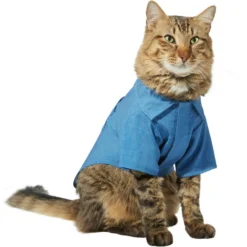 Frisco Chambray Pineapple Dog & Cat Shirt 11 Frisco Chambray Pineapple Dog & Cat Shirt -PetPalace Picks 312192 PT2. AC SS1800 V1644528879