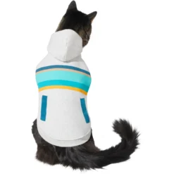 Frisco Striped Dog & Cat Hoodie -PetPalace Picks 312265 PT2. AC SS1800 V1644881185