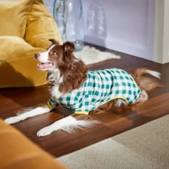 Frisco Boho Gingham Dog & Cat PJs -PetPalace Picks 312272 PT8. AC SS1800 V1644880063