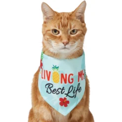Frisco Living My Best Life Dog & Cat Bandana 9 Frisco Living My Best Life Dog & Cat Bandana -PetPalace Picks 312288 PT2. AC SS1800 V1644884916