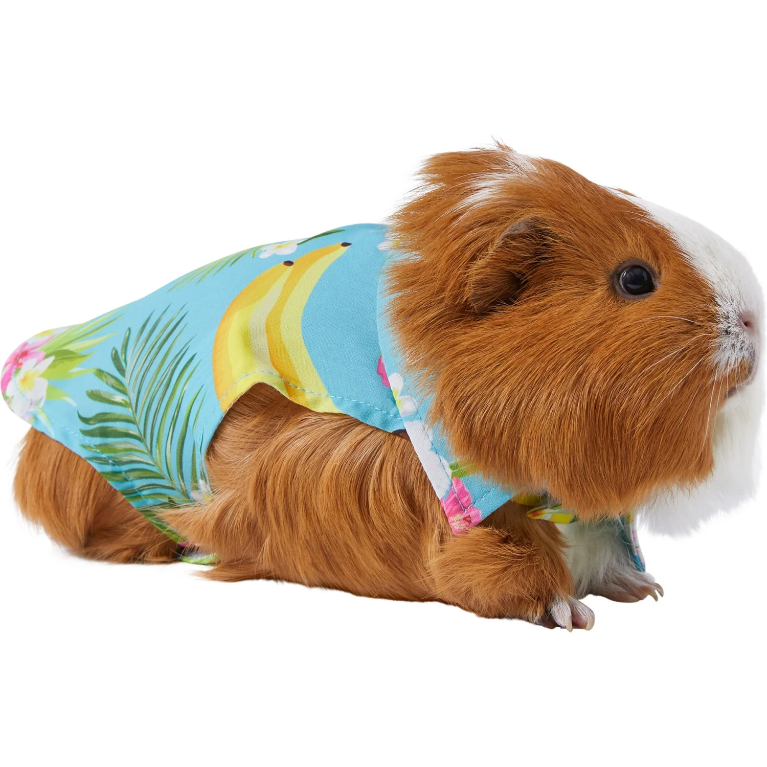 Frisco Pineapple Hawaiian Camp Guinea Pig Shirt 1 Frisco Pineapple Hawaiian Camp Guinea Pig Shirt
