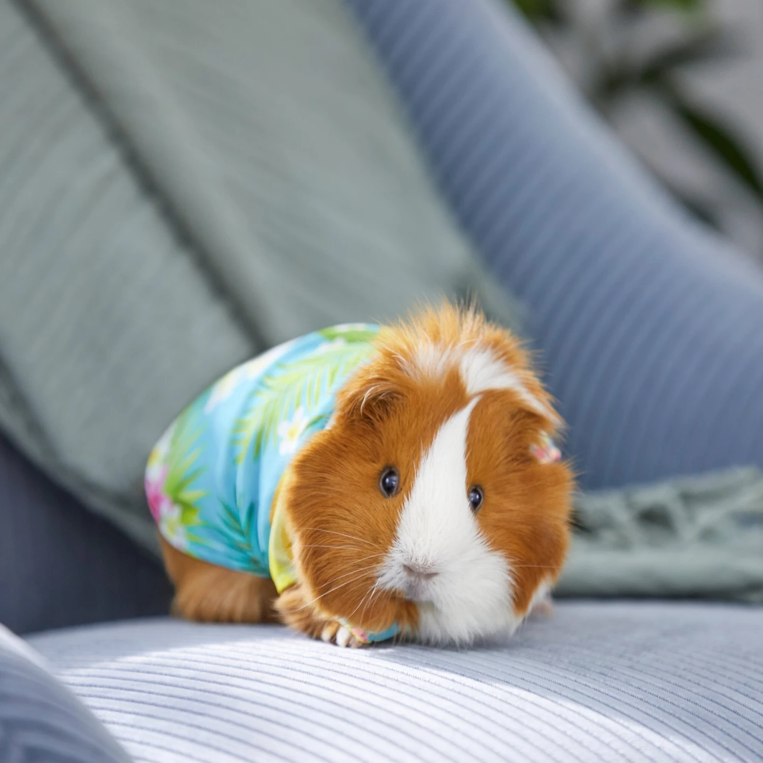 Frisco Pineapple Hawaiian Camp Guinea Pig Shirt 5 Frisco Pineapple Hawaiian Camp Guinea Pig Shirt - Image 5