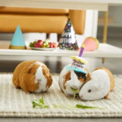 Frisco Happy Birthday Guinea Pig Hat -PetPalace Picks 313132 PT8. AC SS1800 V1644526064