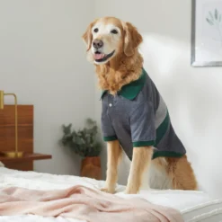 Frisco Green Striped Polo Dog & Cat Shirt -PetPalace Picks 315091 PT8. AC SS1800 V1646434389