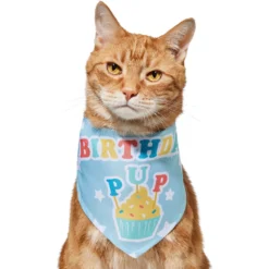 Frisco Birthday Pup Dog & Cat Bandana 9 Frisco Birthday Pup Dog & Cat Bandana -PetPalace Picks 315130 PT2. AC SS1800 V1646437964