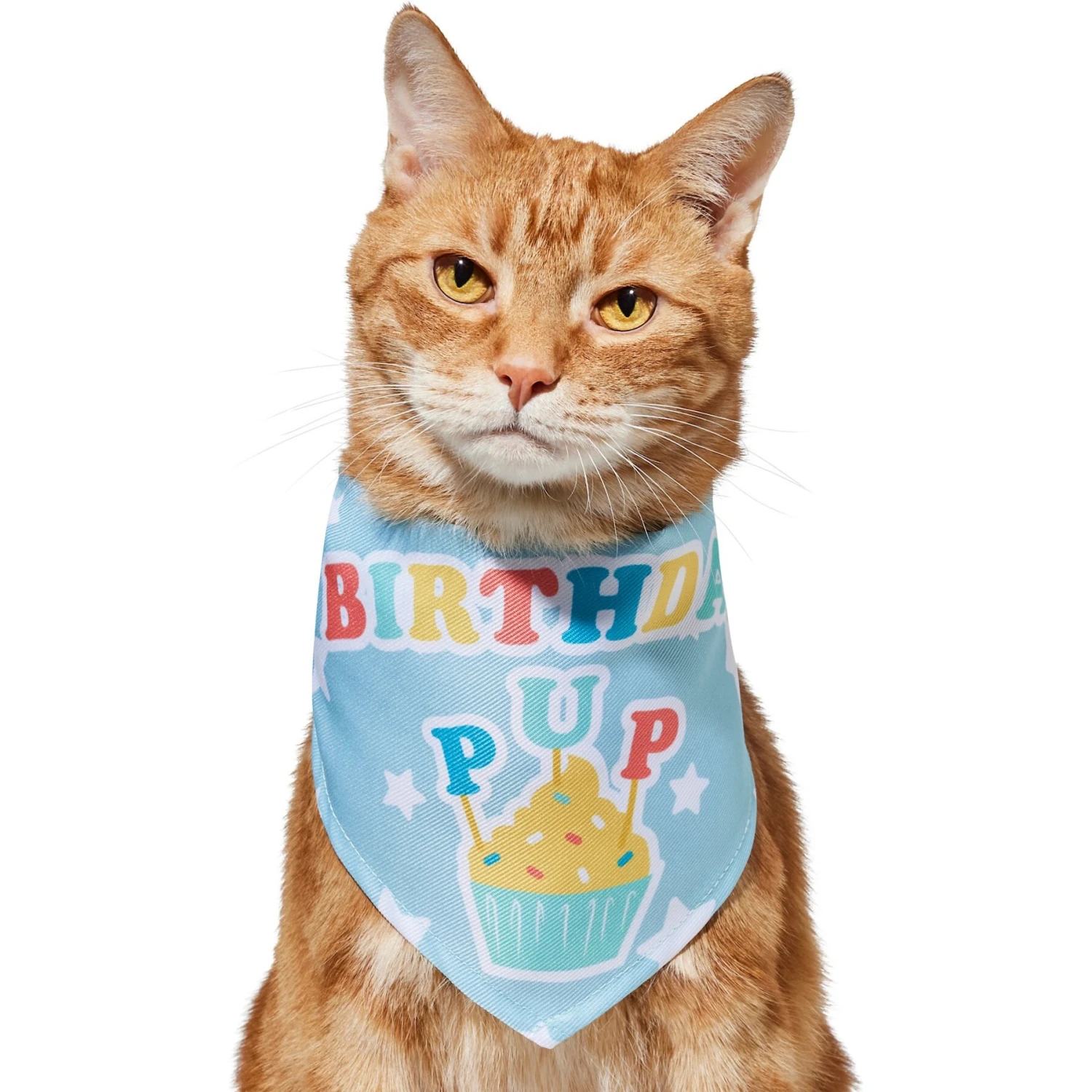 Frisco Birthday Pup Dog & Cat Bandana 3 Frisco Birthday Pup Dog & Cat Bandana - Image 3