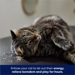 Frisco Natural Catnip -PetPalace Picks 316067 PT3. AC SS1800 V1683132277