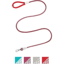 Frisco Outdoor Comfort Print Nylon Padded Dog Collar & Frisco Outdoor Ultra Reflective Rope Leash With Padded Handle -PetPalace Picks 319066 PT5. AC SS1800 V1631157395