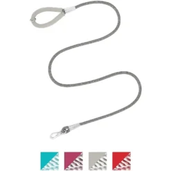 Frisco Outdoor Ultra Reflective Nylon Dog Collar & Frisco Outdoor Ultra Reflective Rope Leash With Padded Handle -PetPalace Picks 319102 PT5. AC SS1800 V1631149585