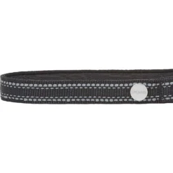 Frisco Outdoor Premium Ripstop Nylon Dog Harness With Pocket & Frisco Outdoor Nylon Reflective Comfort Padded Dog Collar -PetPalace Picks 319304 PT6. AC SS1800 V1631158591