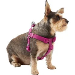 Frisco Outdoor Solid Textured Waterproof Stink Proof PVC Dog Harness & Frisco Outdoor Solid Textured Waterproof Stink Proof PVC Dog Leash -PetPalace Picks 319356 PT2. AC SS1800 V1631150788