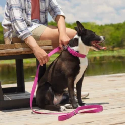 Frisco Outdoor Solid Textured Waterproof Stink Proof PVC Dog Harness & Frisco Outdoor Solid Textured Waterproof Stink Proof PVC Dog Leash -PetPalace Picks 319356 PT7. AC SS1800 V1631141802