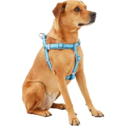 Frisco Outdoor Two Tone Waterproof Stinkproof PVC Dog Harness & Frisco Outdoor Two Tone Waterproof Stinkproof PVC Dog Harness 8 Frisco Outdoor Two Tone Waterproof Stinkproof PVC Dog Harness & Frisco Outdoor Two Tone Waterproof Stinkproof PVC Dog Harness -PetPalace Picks 319396 PT2. AC SS1800 V1630624884