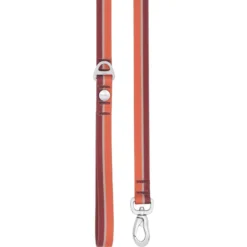 Frisco Outdoor Two Toned Waterproof Stink Proof PVC Dog Leash & Frisco Outdoor Two Tone Waterproof Stinkproof PVC Dog Harness -PetPalace Picks 319448 PT2. AC SS1800 V1631157075