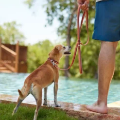 Frisco Outdoor Two Toned Waterproof Stink Proof PVC Dog Leash & Frisco Outdoor Two Tone Waterproof Stinkproof PVC Dog Harness -PetPalace Picks 319448 PT3. AC SS1800 V1631149877