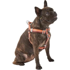 Frisco Outdoor Two Toned Waterproof Stink Proof PVC Dog Leash & Frisco Outdoor Two Tone Waterproof Stinkproof PVC Dog Harness -PetPalace Picks 319448 PT5. AC SS1800 V1631146290
