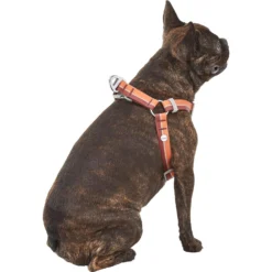 Frisco Outdoor Two Toned Waterproof Stink Proof PVC Dog Leash & Frisco Outdoor Two Tone Waterproof Stinkproof PVC Dog Harness -PetPalace Picks 319448 PT6. AC SS1800 V1631152279