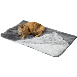 Frisco Sofa Pet Bed With Removable Cover & Frisco Eyelash Cat & Dog Blanket -PetPalace Picks 319504 PT5. AC SS1800 V1630619791