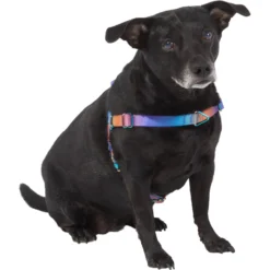 Frisco Purple Ombre Style Dog Harness -PetPalace Picks 324526 PT2. AC SS1800 V1642519692