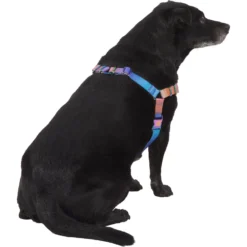 Frisco Purple Ombre Style Dog Harness -PetPalace Picks 324526 PT3. AC SS1800 V1642519104