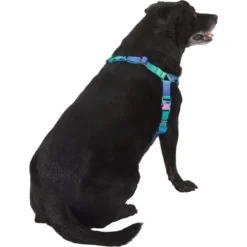 Frisco Green Ombre Style Dog Harness -PetPalace Picks 324531 PT3. AC SS1800 V1642518631