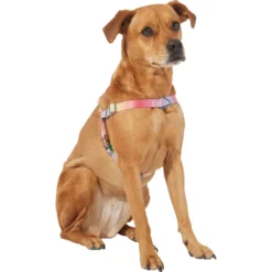 Frisco Pink Ombre Style Dog Harness -PetPalace Picks 324537 PT2. AC SS1800 V1642519336