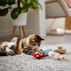 Frisco Mother's Day Gifts Plush Cat Toy With Catnip, 3 Count -PetPalace Picks 327027 PT3. AC SS1800 V1646948055