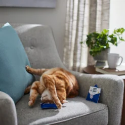 Frisco Father's Day Card Felt Cat Toy With Catnip, 2 Count 7 Frisco Father's Day Card Felt Cat Toy With Catnip, 2 Count -PetPalace Picks 327029 PT3. AC SS1800 V1648667305