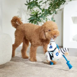 Frisco Dad Gnome Plush With Rope Dog Toy -PetPalace Picks 327053 PT3. AC SS1800 V1648667286