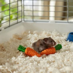 Frisco Carrot Small Pet Chew Toy -PetPalace Picks 330867 PT2. AC SS1800 V1659546417