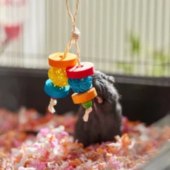 Frisco Dangly Wooden Small Pet Chew Toy 5 Frisco Dangly Wooden Small Pet Chew Toy -PetPalace Picks 330871 PT3. AC SS1800 V1647530133