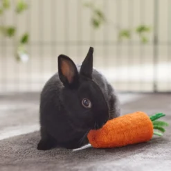 Frisco Carrot Loofah Small Pet Chew Toy 5 Frisco Carrot Loofah Small Pet Chew Toy -PetPalace Picks 330873 PT2. AC SS1800 V1647530171