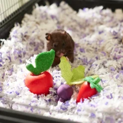 Frisco Wooden Fruit Assortment Small Pet Chew Toy -PetPalace Picks 330883 PT2. AC SS1800 V1647530150